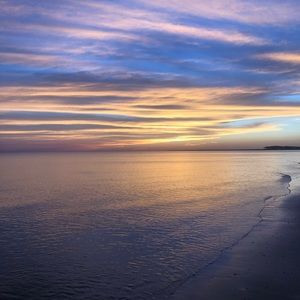 Meet your Posher, Blake